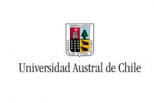 Universidad Austral -Pregrado