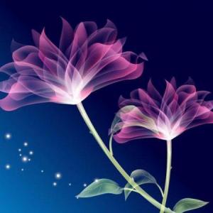 Biomagnetismo Médico en Alcohuaz Místico