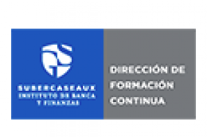Dirección de Formación Continua - Instituto Subercaseaux
