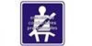 Academia de Conductores Fenix