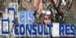 Gis Consultores
