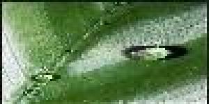 Centro Integral Ananda