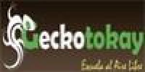 Escuela al Aire Libre Gecko Tokay