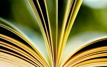 Ingeniería Industrial