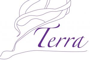 Terra capacitaciones y terapias