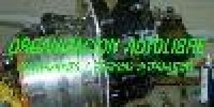 Organizacion AUTOLIBRE