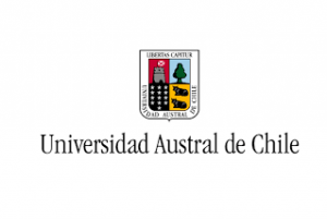 Universidad Austral -Pregrado