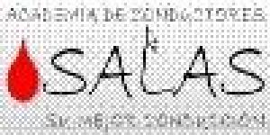 Academia de Conductores Salas
