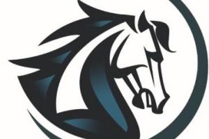 traders academy