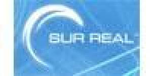 Instituto de Capacitación Sur Real