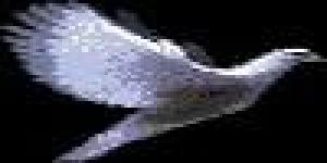 Transpersonal