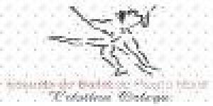 Escuela de Ballet de Puerto Montt