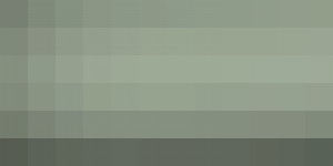 Japones Reiki (Shanti-Reiki)