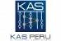 Knowledge and Systems Peru - KASPERU