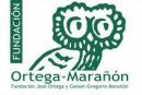Instituto Universitario de Investigación Ortega y Gasset