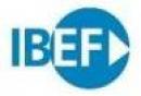 Ibef - Instituto Barcelona de Estudios Financieros