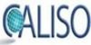 Caliso - Worldwide Consulting & Training