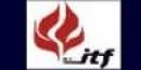 Instituto Tecnológico Del Fuego