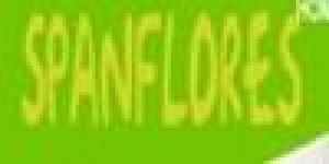 Instituto Span flores