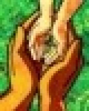 Naturaleza de la Salud