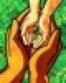 Naturaleza de la Salud