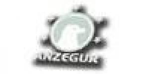Anzegur Security